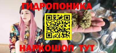спиды Заводоуковск