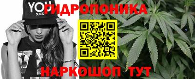 спиды Заводоуковск