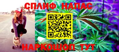 спиды Заводоуковск