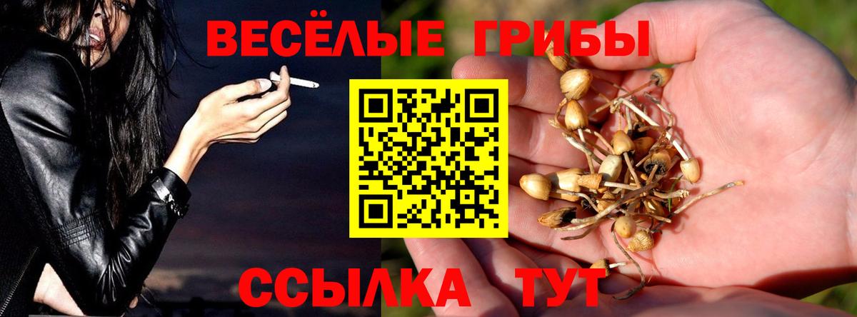 Сибай  Галлюциногенные грибы MAGIC MUSHROOMS  Вход с VPN 
